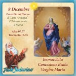 1000006142.jpg 1000006142.jpg