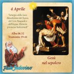 1000009436.jpg 1000009436.jpg