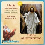 1000009490.jpg 1000009490.jpg