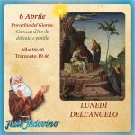 1000009534.jpg 1000009534.jpg