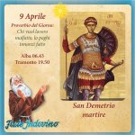 1000009648.jpg 1000009648.jpg