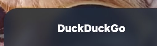 1000134444.jpg 1000134444.jpg