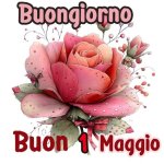 FB_IMG_1777620814672.jpg