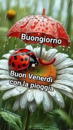 venerdi 1.jpg