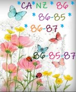 fiori e farfalle.jpg