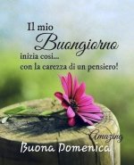 Buongiorn2026-05-24 .jpeg