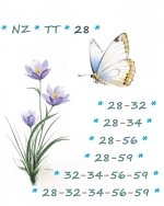 1781052138638.png