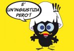 calimero-1.jpg