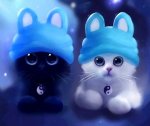 Cats-wallpaper-10209792.jpg