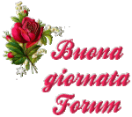 photo11961.gif