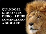 LEONE.jpg