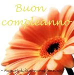 buon compleanno.jpg