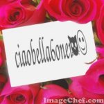 samp9e3810c4eedecb55.jpg