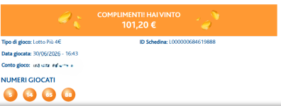 VINCITA 30 06 26.png