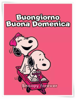 1785051229323.png