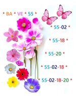 9da8efe1-bb44-41d0-be8d-2c0a2791e50d.jpg