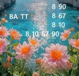 bd12abf2-01fd-4a71-a773-d573c102d45b.jpg