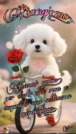 1.jpeg