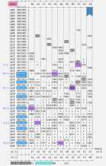 1785958956655.png