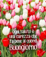 saluto-carezza-buongiorno.jpg