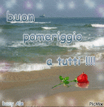 126273.gif