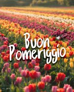 immagine-buon-pomeriggio-tulipani.jpg