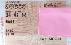 1000064986.jpg