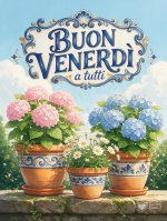 buon-venerd-con-fiori-e-sole-del-mattino.jpg