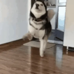 1791041893799.png
