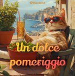 Auguri-di-buon-pomeriggio-da-inviare-su-WhatsApp-con-frasi-simpatiche-e-immagini-stupende.jpeg