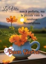FB_IMG_1791229120921.jpg