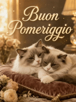 buon-pomeriggio-gatti.gif