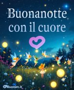 Le-fate-del-sole-ti-aspettano-con-immagini-nuove-di-buonanotte-gratis-per-WhatsApp.jpeg