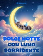 Scarica-ora-una-dolce-notte-con-gattini-teneri-e-sogni-profumati.jpeg