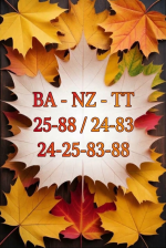 1792249644914.png