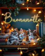 Scarica-le-immagini-nuove-di-dolce-notte-per-augurare-la-buonanotte-ai-tuoi-amici-piu-cari.jpeg