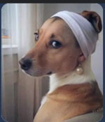 1792324714989.png 1792324714989.png