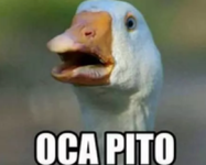 1792324816455.png 1792324816455.png