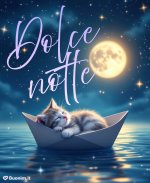 Le-piu-belle-immagini-di-buonanotte-per-WhatsApp-con-dolci-emozioni-dal-cuore.jpeg