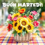 Buon-martedi-Scarica-gratis-le-immagini-piu-simpatiche-della-settimana (1).jpeg
