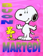 1793086798214.png