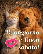 Buongiorno-sabato-meraviglioso.jpeg