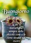 download (1)bgiorno.jpg