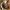 01_caffe.gif.jpg
