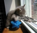 crazy-and-funny-animals16[1].jpg