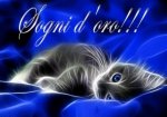 c5wcqxp2yf-gattino-sogni-d-oro-chiacchera-post-by-joey92_a.jpg