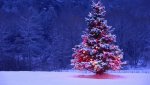auguri-di-natale-2015-frasi-sms-immagini-video-facebook-whatsapp-cartoline-migliori-originali-...jpg