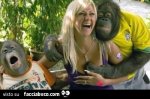 5073970187-scimpanze-tocca-le-tette-a-una-ragazza-bestiacce-post-by-hirochan_b.jpg