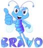 bmwyh_bravo_yb2.jpg