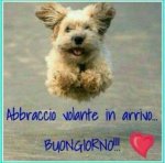 buongiorno-cane-mare-320x314.jpg